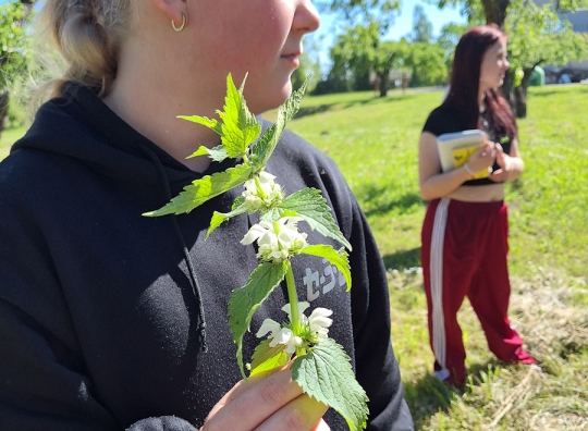 Straipsnio nuotrauka