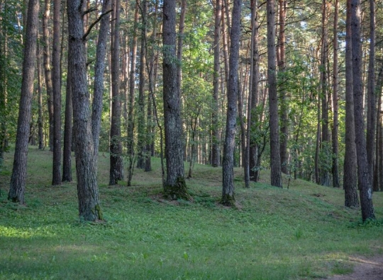 Asociatyvi nuotrauka
