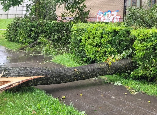 Straipsnio nuotrauka