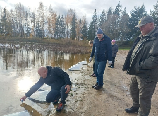 Straipsnio nuotrauka
