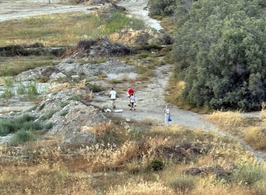 Straipsnio nuotrauka