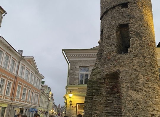Straipsnio nuotrauka
