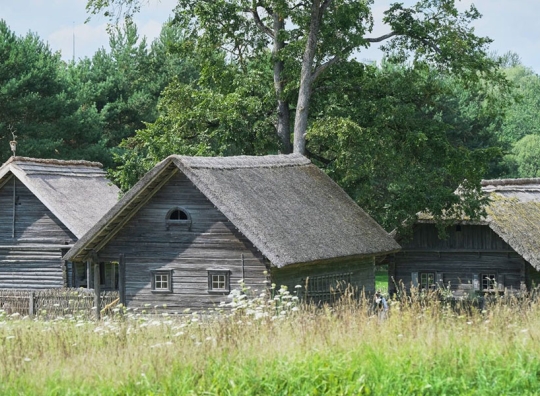 Straipsnio nuotrauka
