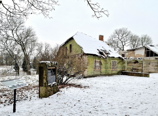 Straipsnio nuotrauka