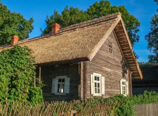 Straipsnio nuotrauka