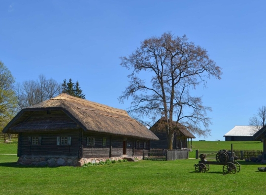 Straipsnio nuotrauka