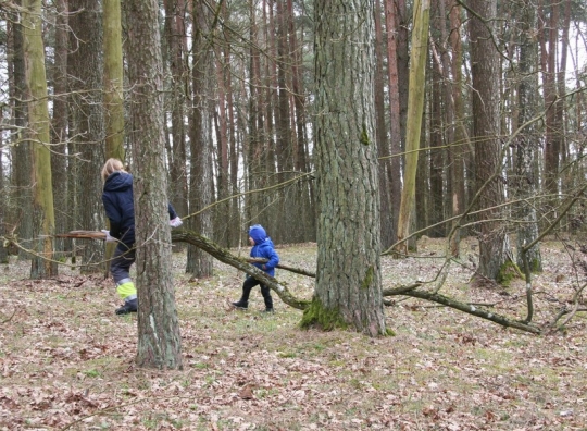 Straipsnio nuotrauka