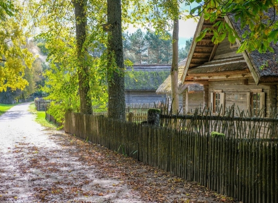 Straipsnio nuotrauka