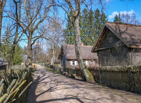 Straipsnio nuotrauka
