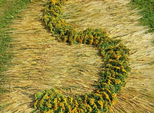 Straipsnio nuotrauka
