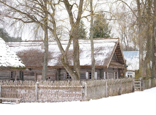 Straipsnio nuotrauka