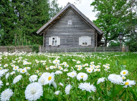 Straipsnio nuotrauka