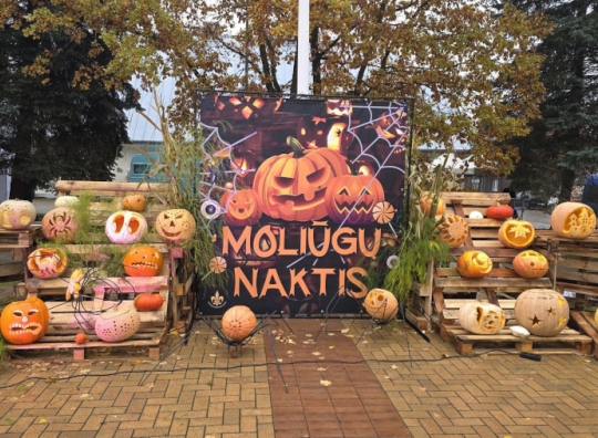Straipsnio nuotrauka