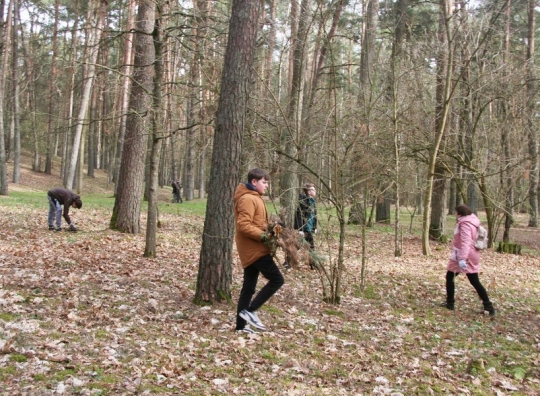 Straipsnio nuotrauka