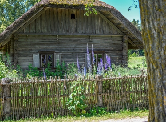 Straipsnio nuotrauka