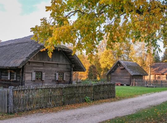Straipsnio nuotrauka