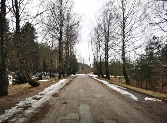 Vingėliškio gatvės apžiūra