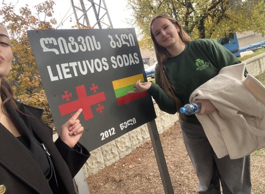 Straipsnio nuotrauka
