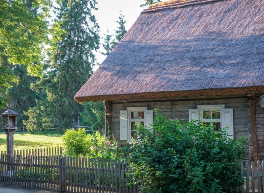 Straipsnio nuotrauka