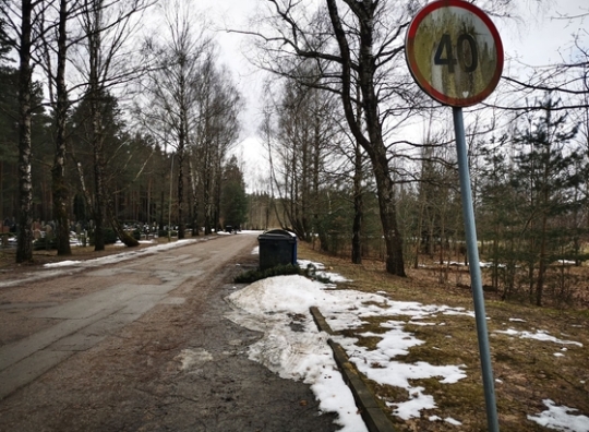 Vingėliškio gatvės apžiūra