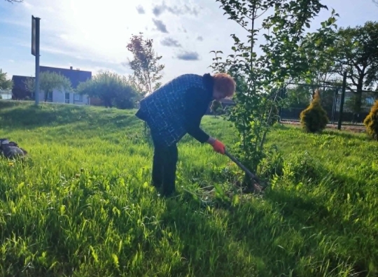 Straipsnio nuotrauka