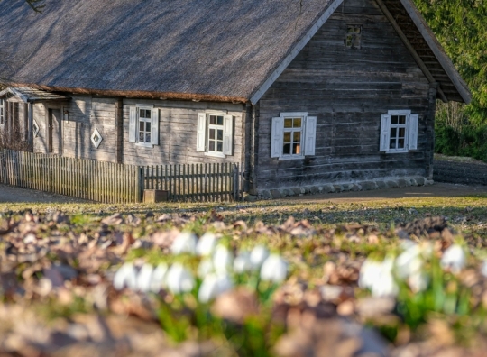 Straipsnio nuotrauka