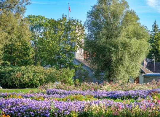 Straipsnio nuotrauka