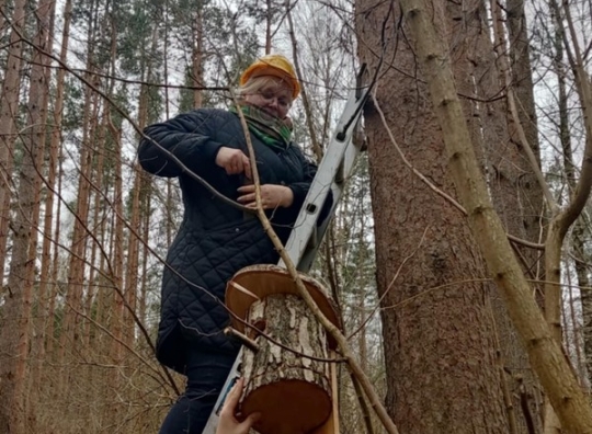 Straipsnio nuotrauka
