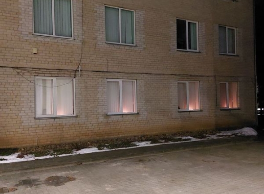 Straipsnio nuotrauka