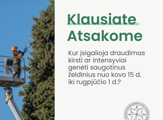 Atmintinė