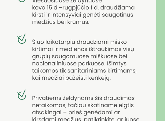 Atmintinė