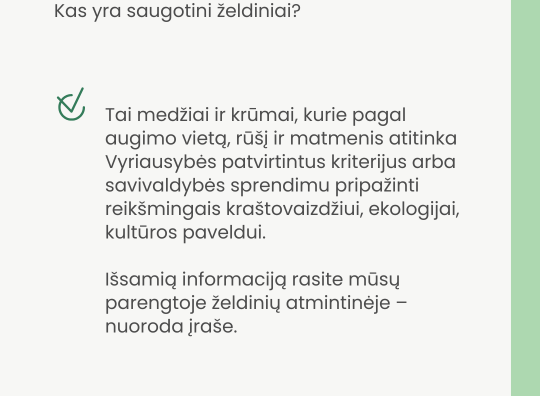 Atmintinė